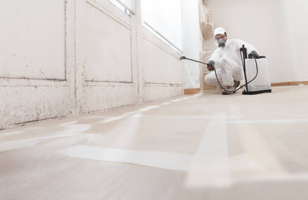 24/7 Emergency Mold Remediation experts in College Park, GA